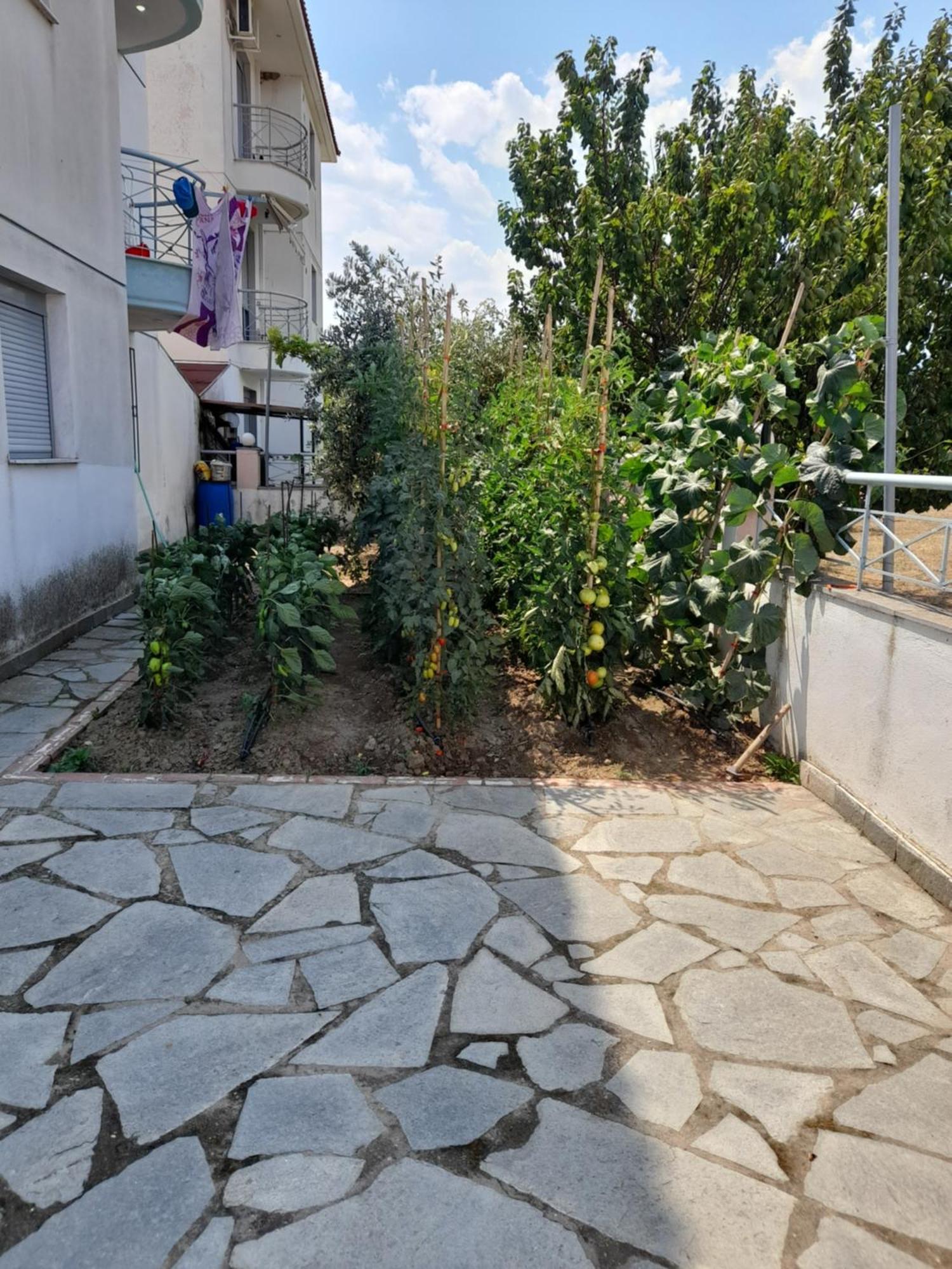 Dominikis Appartment Néa Péramos Dış mekan fotoğraf